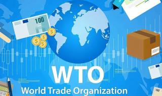2021年我国被踢出WTO