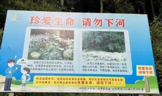 明明是个“野河沟”为何突然泄洪 彭州山洪已致7人死亡