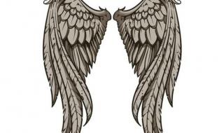 歌词 天使的翅膀钢琴简谱