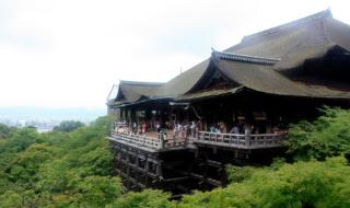 迷宫的十字路口国语