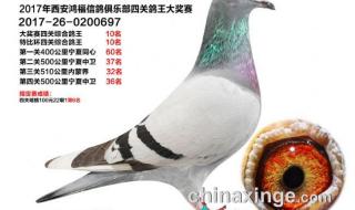 西安大浪淘沙全套图 西安大浪淘沙全套图