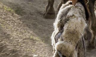 可可托海的牧羊人简谱