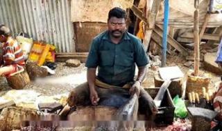 印度人侵犯巨蜥视频