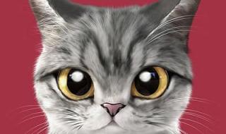 小黄人大眼萌下载